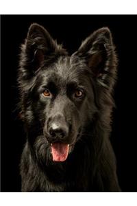 Black German Shepherd Notebook
