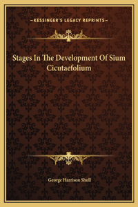 Stages In The Development Of Sium Cicutaefolium