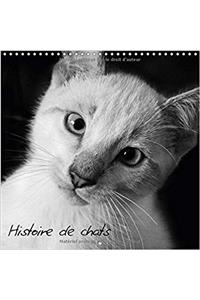 Histoire de Chats 2017