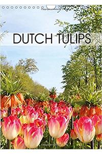 Dutch Tulips 2017