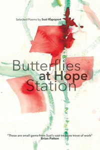 Butterflies at Hope Station