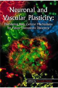 Neuronal and Vascular Plasticity