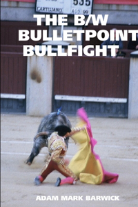 B/W Bulletpoint Bullfight