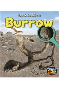 Burrow