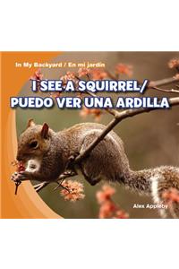 I See A Squirrel / Puedo Ver una Ardilla