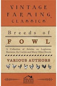 Breeds of Fowl - A Collection of Articles on Leghorns, Bantams, the Cochin and Many Other Breeds