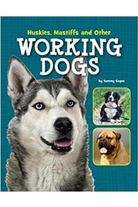 Huskies, Mastiffs and Other Working Dogs