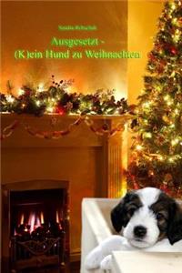 Ausgesetzt - (K)ein Hund zu Weihnachten
