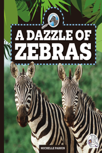 Dazzle of Zebras