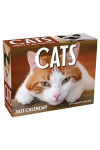 Cats 2021 Mini Day-To-Day Calendar