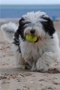 The Polish Lowland Sheepdog Dog Journal