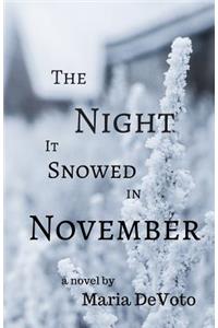 Night It Snowed in November