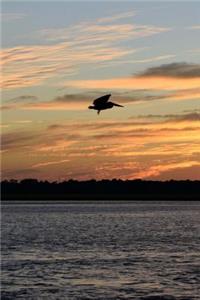 Pelican Sunset Journal