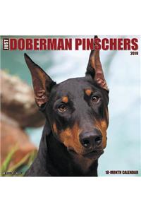 Just Dobermans 2019 Wall Calendar (Dog Breed Calendar)