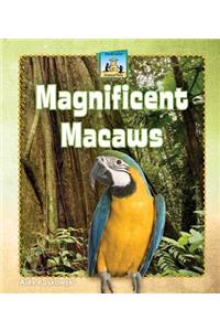 Magnificent Macaws