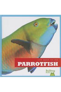 Parrotfish