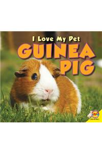 Guinea Pig