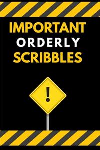 Important Orderly Scribbles Notebook / Journal 6x9 Ruled Lined 120 Pages
