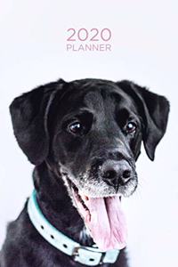 2020 Planner