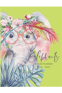 2020-2022 3 Year Planner Elephant Watercolor Monthly Calendar Goals Agenda Schedule Organizer