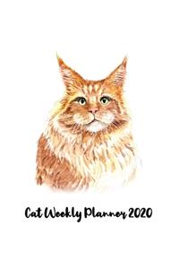 Cat Weekly Planner 2020: Water cat stuff monthly weekly planner with 12 months Jan 2020 - Dec 2020 for Schedule Organizer, To Do List, Academic Schedule, Appointment Calenda