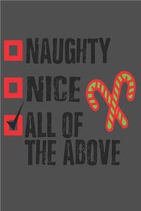 Naughty - Nice - All of the Above