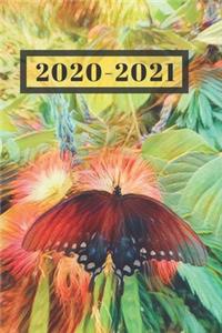 Pink Flowers & Pretty Blue Black Spotted Butterfly Nature Lover's Dated Weekly 2 year Calendar Planner