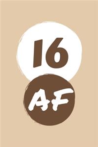 16 AF