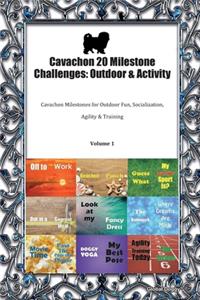 Cavachon 20 Milestone Challenges