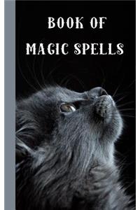 Book of magic spells