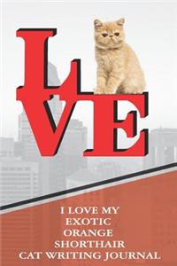 I Love My Exotic Orange Shorthair Cat Writing Journal
