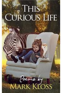 This Curious Life