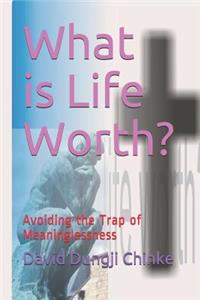 What is Life Worth?