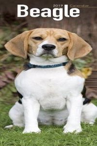 Beagle Slim Calendar 2019