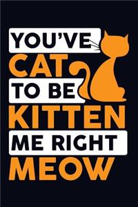 You've Cat to Be Kitten Me Right Meow