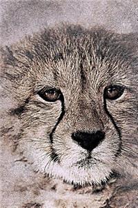 Painted Cheetah Journal