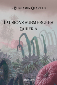 Illusions submergées