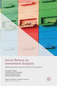 Social Return on Investment Analysis