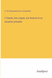 L'Irlande; Son origine, son histoire et sa situation présente