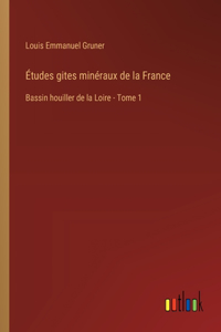 Études gites minéraux de la France: Bassin houiller de la Loire - Tome 1