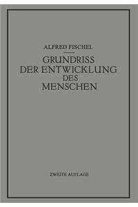 Grundriss der Entwicklung des Menschen