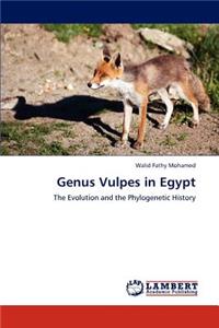 Genus Vulpes in Egypt
