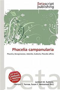 Phacelia Campanularia