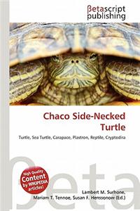 Chaco Side-Necked Turtle