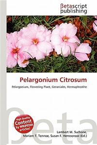 Pelargonium Citrosum