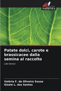 Patate dolci, carote e brassicacee dalla semina al raccolto