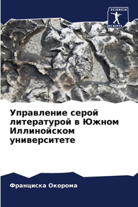 Управление серой литературой в Южном Илl