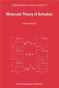 Molecular Theory of Solvation