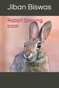 Rabbit Drawing book