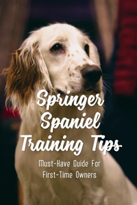 Springer Spaniel Training Tips